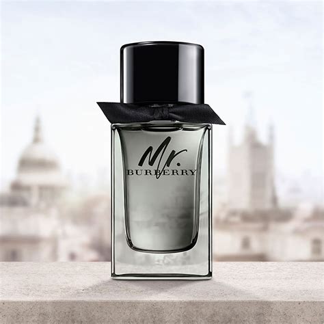 nước hoa mr burberry edt|Mr Burberry Eau De Toilette .